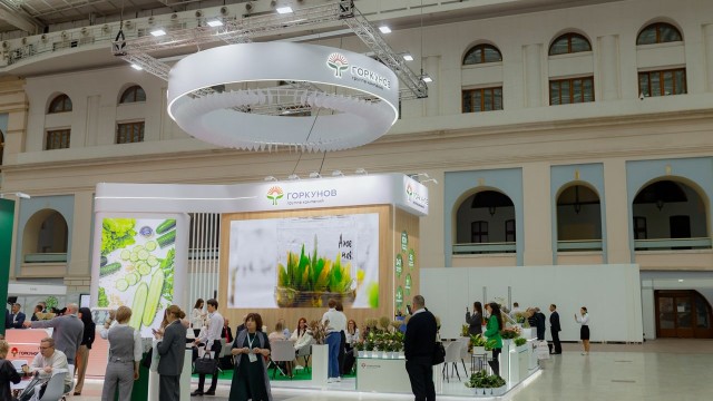 Горкунов на GFM 2024